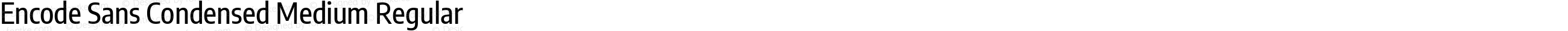Encode Sans Condensed Medium Regular