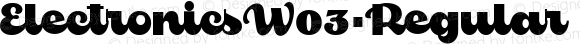 Electronics W03 Regular
