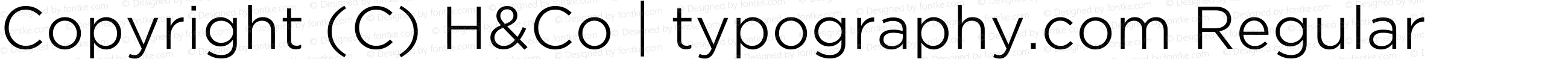 Copyright (C) H&Co | typography.com Regular