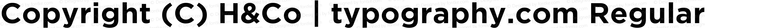 Copyright (C) H&Co | typography.com