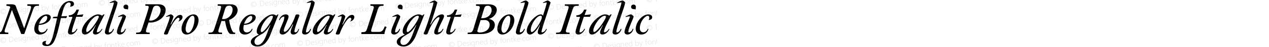 Neftali Pro Regular Light Bold Italic