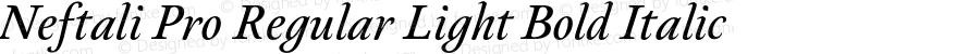 Neftali Pro Regular Light Bold Italic