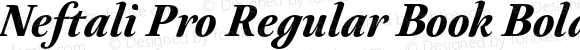 Neftali Pro Regular Book Bold Italic