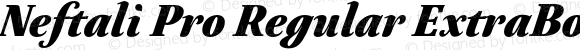 Neftali Pro Regular ExtraBold Italic