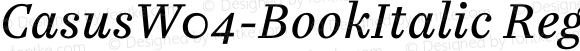 CasusW04-BookItalic Regular