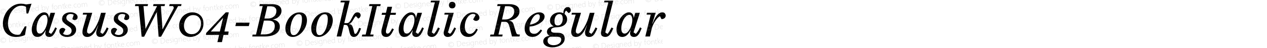 CasusW04-BookItalic Regular