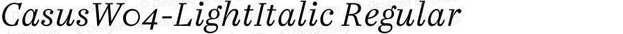 Casus W04 Light Italic