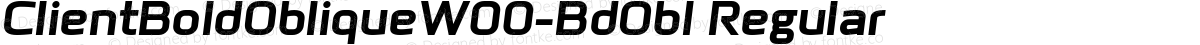 ClientBoldObliqueW00-BdObl Regular