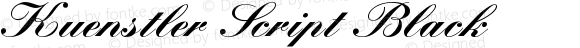 Kuenstler Script Black