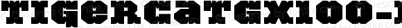 TigerCatGX100-Black ☞ Version 001.000; ttfautohint (v1.5);com.myfonts.easy.activesphere.tigercat.gx-100.wfkit2.version.4h9X