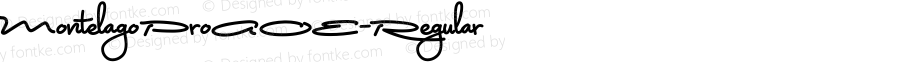 MontelagoProAOE-Regular ☞ Version 001.000;com.myfonts.astigmatic.montelago-aoe.pro.wfkit2.3qSL