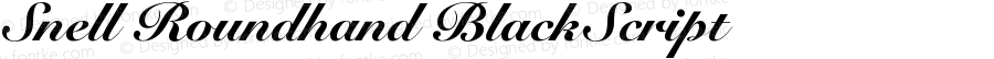 Snell Roundhand Black Script