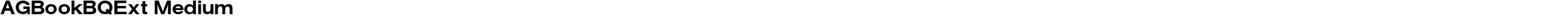 AGBookBQExt Medium