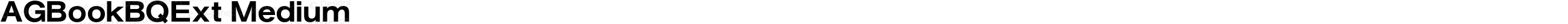 AGBookBQExt Medium