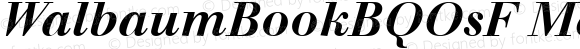 WalbaumBookBQOsF Medium Italic