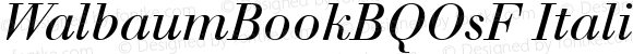 WalbaumBookBQOsF Regular Italic