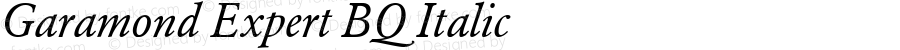 Garamond (R) Expert Italic OsF