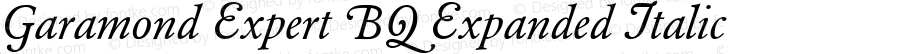 Garamond (R) Expert Italic Swash