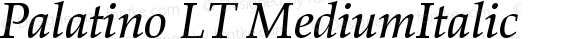 Palatino LT Medium Italic