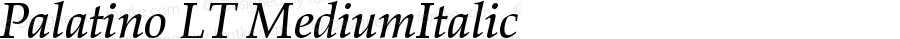 Palatino LT MediumItalic