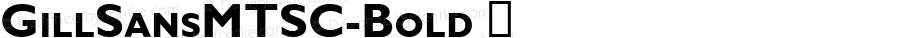 GillSansMTSC-Bold ☞ Version 2.10;com.myfonts.easy.mti.gill-sans.bold-sc.wfkit2.version.3MDo