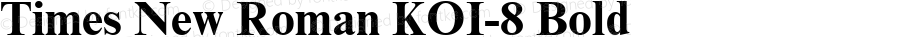 Times New Roman KOI-8 Bold