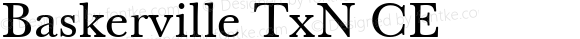 Baskerville TxN CE ☞ 001.000;com.myfonts.easy.storm.baskerville-tx-n.baskerville-tx-n.wfkit2.version.2aYU