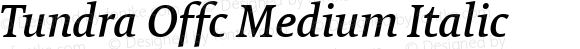 Tundra Offc Medium Italic