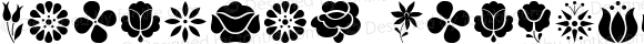 Kalocsai Flowers Pi Regular