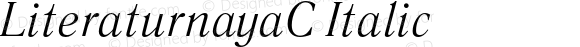 LiteraturnayaC-Italic