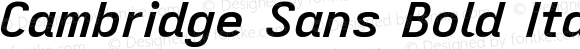 Cambridge Sans Bold Italic