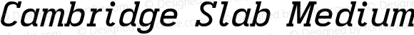 Cambridge Slab Medium Italic