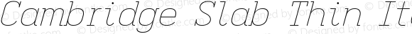 Cambridge Slab Thin Italic