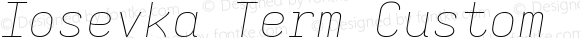 Iosevka Term Custom Thin Extended Italic