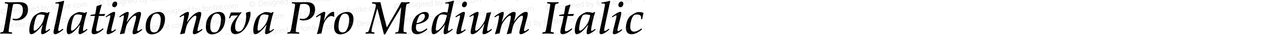 Palatino nova Pro Medium Italic