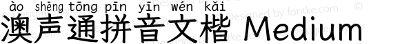 澳声通拼音文楷 Medium