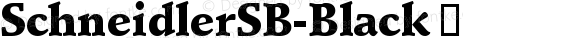 SchneidlerSB-Black ☞ Version 3.010 2014; ttfautohint (v1.5);com.myfonts.easy.efscangraphic.schneidler-sb.black.wfkit2.version.4rKU