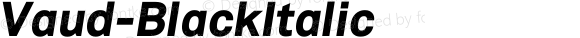 Vaud-BlackItalic ☞ Version 1.000 2013 initial release;com.myfonts.wordshape.vaud.black-italc.wfkit2.42ej
