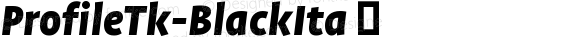 ProfileTk-BlackIta ☞ Version 7.504; 2007; ttfautohint (v1.5);com.myfonts.easy.fontfont.ff-profile.tk-black-ita.wfkit2.version.39SB