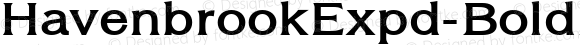 HavenbrookExpd-BoldItalic ☞ Version 1.308 2007;com.myfonts.easy.aah-yes.havenbrook.8-expd-bold-italic.wfkit2.version.2VAn