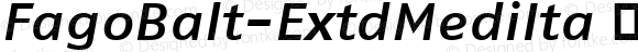 FagoBalt-ExtdMediIta ☞ Version 7.504; 2007;com.myfonts.easy.fontfont.fago-extended.balt-extd-medi-ita.wfkit2.version.3amk