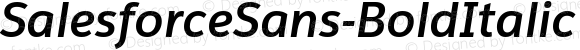 SalesforceSans-BoldItalic Bold Italic