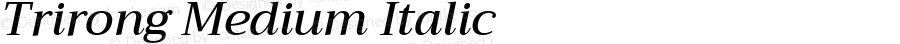 Trirong Medium Italic