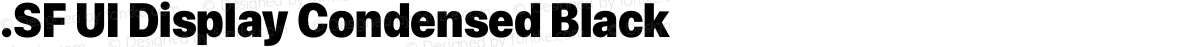 .SF UI Display Condensed Black
