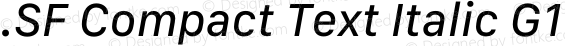 .SF Compact Text Italic G1