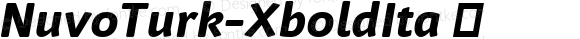 NuvoTurk-XboldIta ☞ Version 7.504; 2008;com.myfonts.easy.fontfont.nuvo.turk-xbold-ita.wfkit2.version.39Wk
