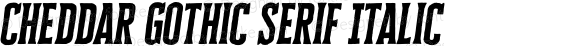 Cheddar Gothic Serif Italic