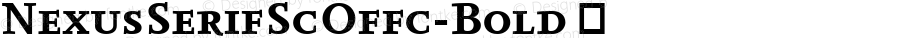 ☞Nexus Serif SC Offc Bold