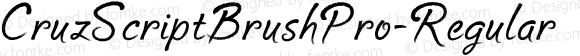 CruzScriptBrushPro-Regular ☞ Version 1.000 2013;com.myfonts.easy.cruz.script-brush-pro.cruz-script-brush-pro.wfkit2.version.44uP