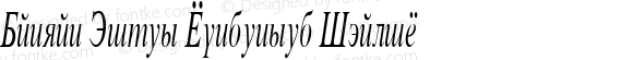 Danzan Times Condensed Italic